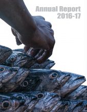 codec.org.bd anual report 2016